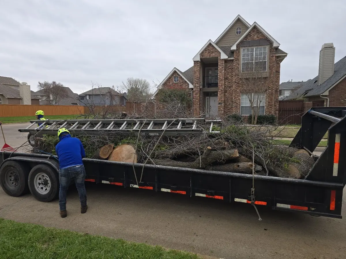 Expert Tree Removal with proper safety equipment in Hawesville
